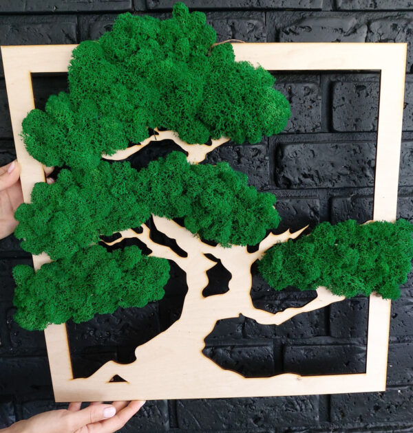 Drzewo z żywym chrobotkiem - kwadrat - PRODUKT Z WYSYŁKĄ TYLKO NA TERENIE POLSKI